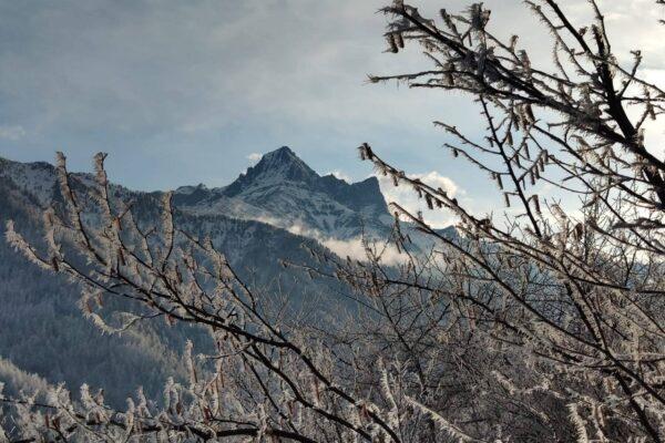 Donne di Montagna