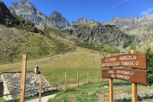 Essenza Monviso - Donne di Montagna